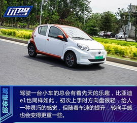 微型電動車再現有力競爭者 歐拉小螞蟻，你們怕了嗎？